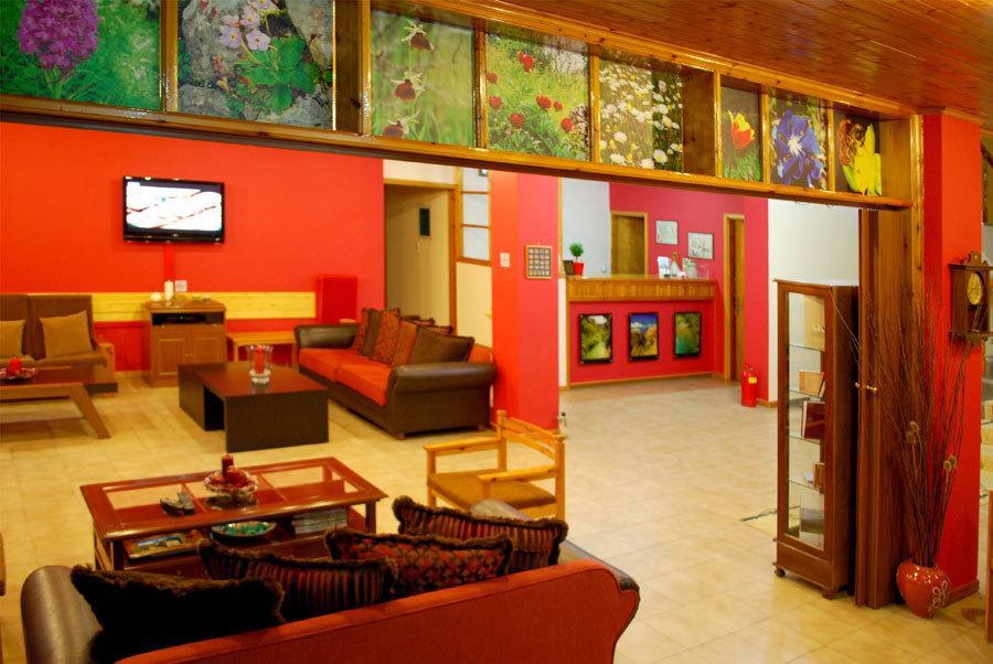 Hotel Faraggi Kleidonia Bagian luar foto