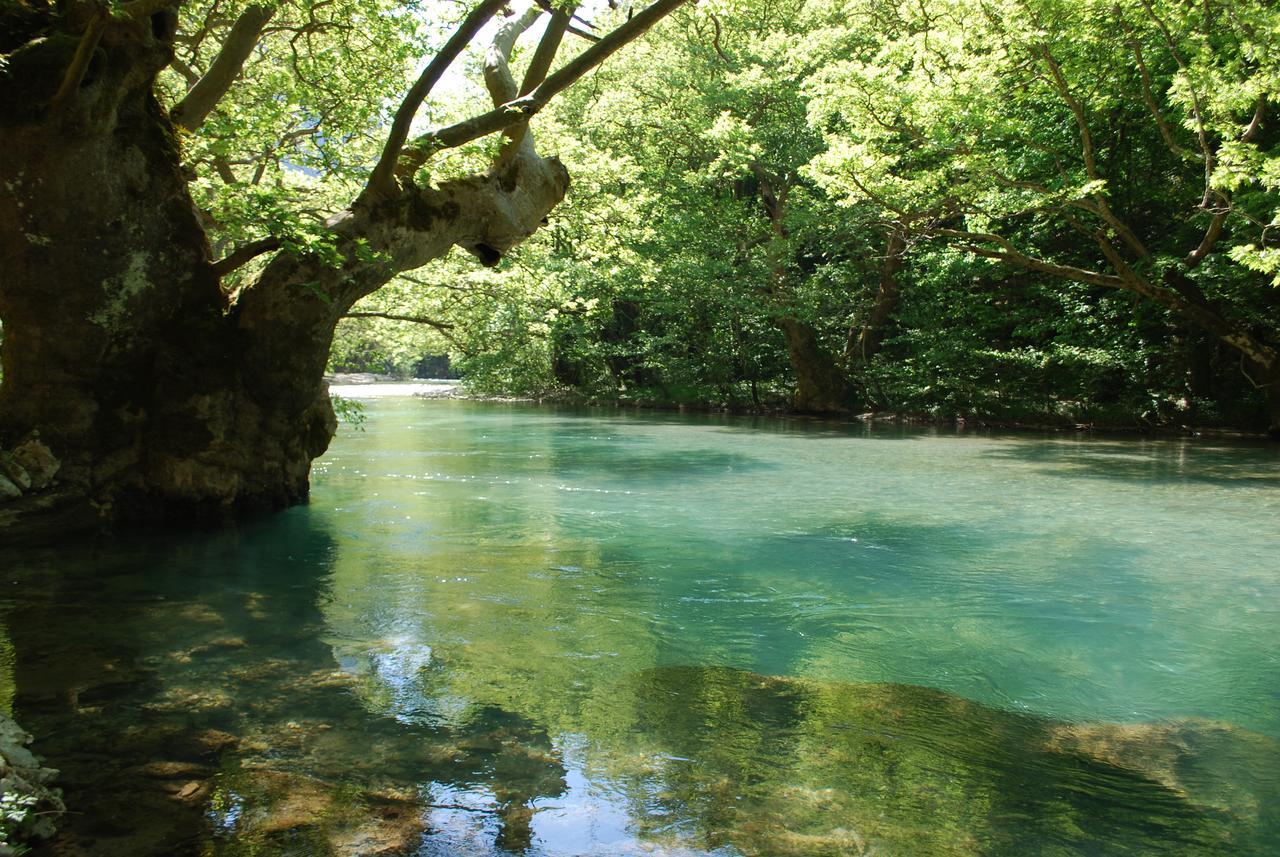 Hotel Faraggi Kleidonia Bagian luar foto